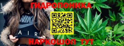 трава Гудермес