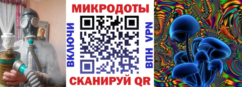 Псилоцибиновые грибы Psilocybe  Новомосковск 