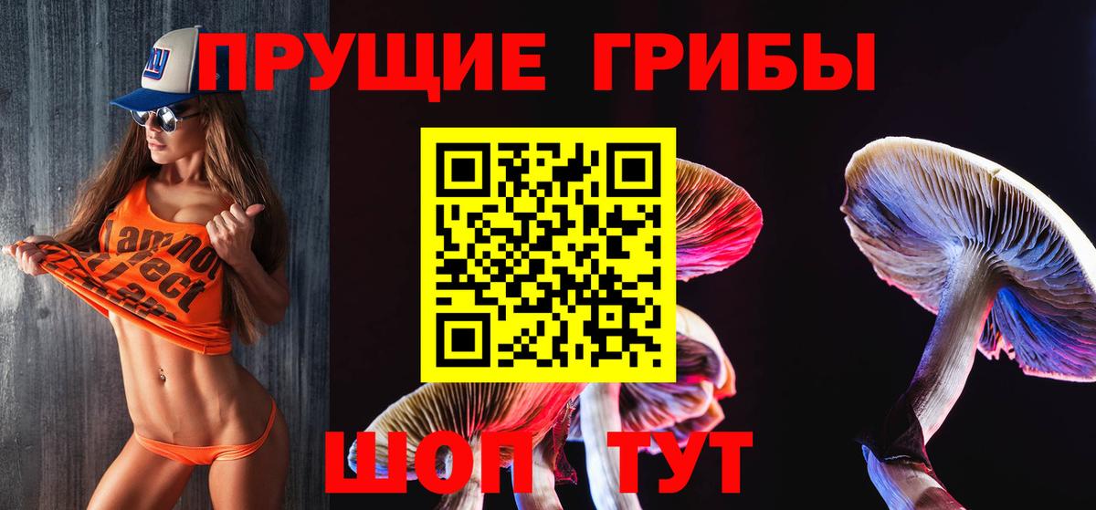 Псилоцибиновые грибы ЛСД Новомосковск