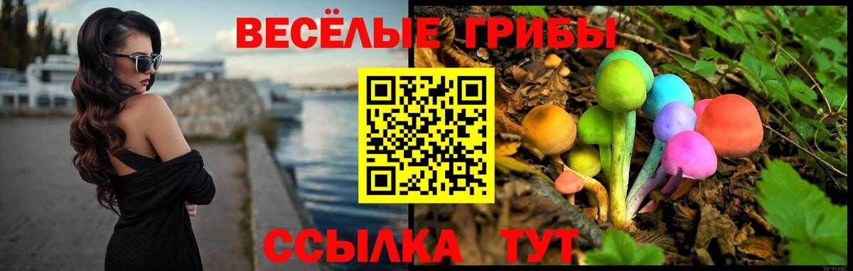 Новомосковск  Галлюциногенные грибы Cubensis  Вход с VPN 